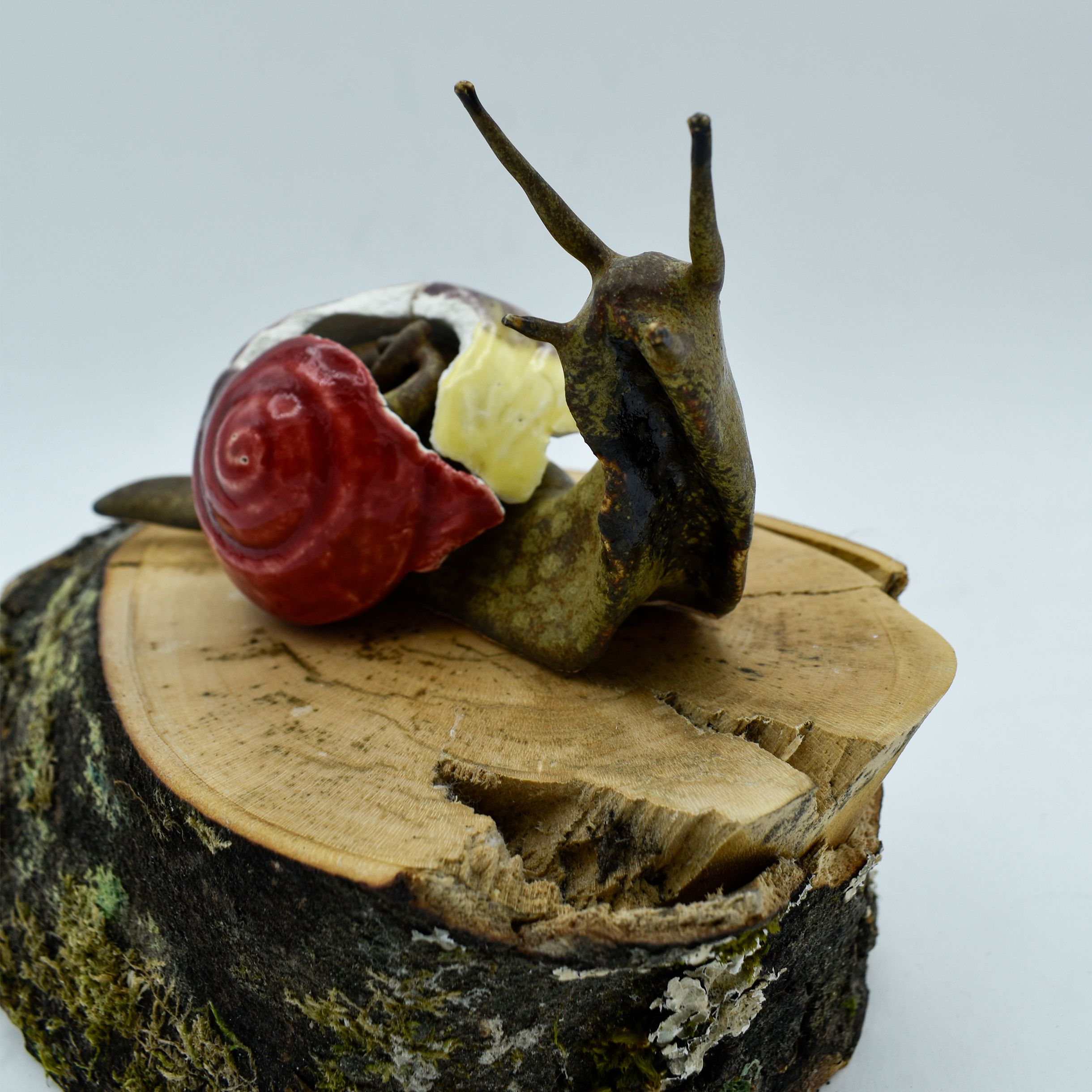 Snail with broken shell №2